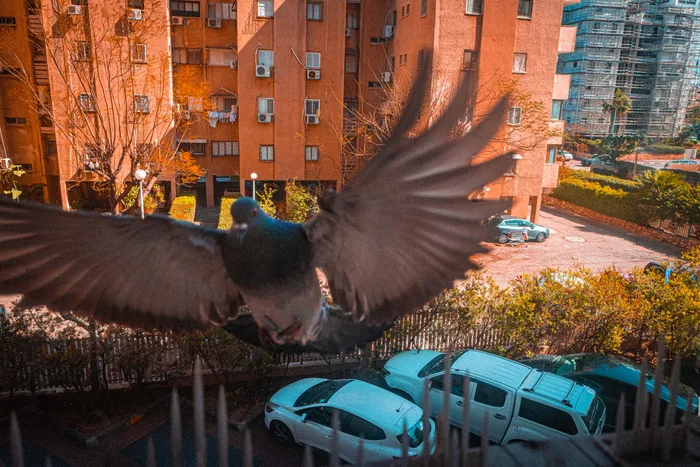 Ашдод