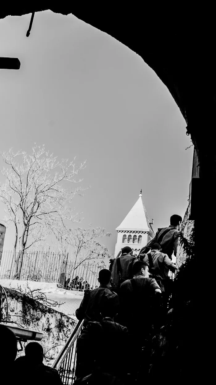 Репатриация
